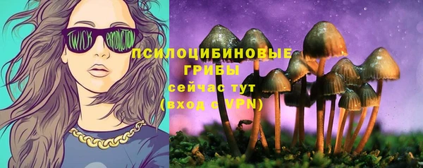 экстази Алексин