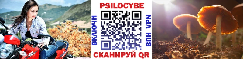 omg ссылки  Игра  Галлюциногенные грибы GOLDEN TEACHER 