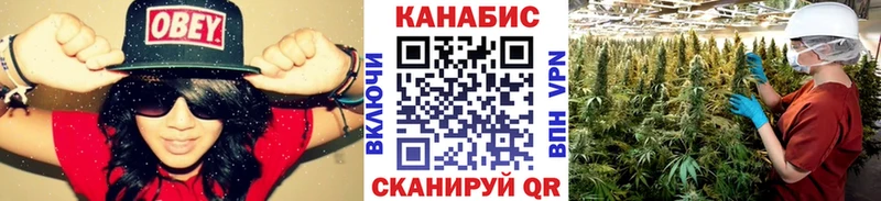 Конопля гибрид  наркотики  Игра 